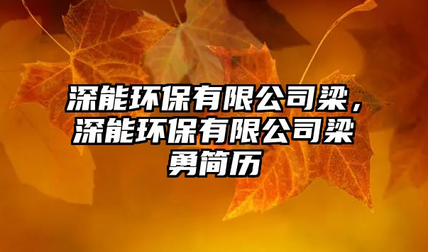 深能環(huán)保有限公司梁，深能環(huán)保有限公司梁勇簡(jiǎn)歷