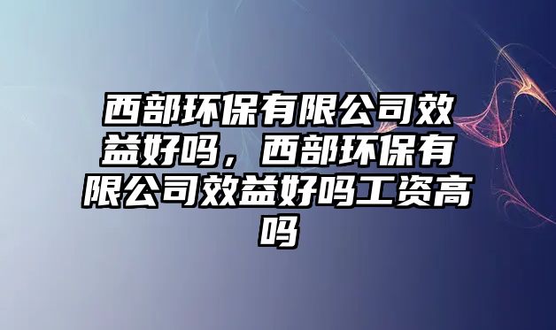 西部環(huán)保有限公司效益好嗎，西部環(huán)保有限公司效益好嗎工資高嗎