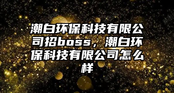 潮白環(huán)保科技有限公司招boss，潮白環(huán)?？萍加邢薰驹趺礃? class=