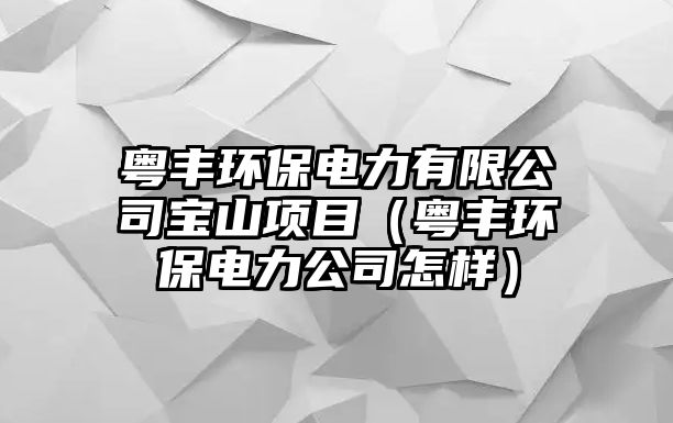 粵豐環(huán)保電力有限公司寶山項(xiàng)目（粵豐環(huán)保電力公司怎樣）