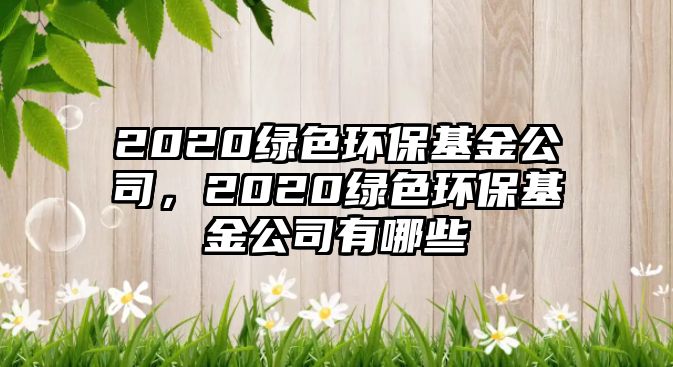 2020綠色環(huán)?；鸸荆?020綠色環(huán)保基金公司有哪些