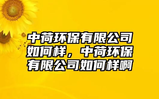 中荷環(huán)保有限公司如何樣，中荷環(huán)保有限公司如何樣啊