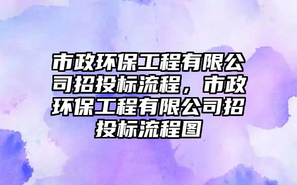 市政環(huán)保工程有限公司招投標(biāo)流程，市政環(huán)保工程有限公司招投標(biāo)流程圖