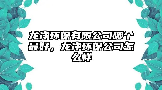 龍凈環(huán)保有限公司哪個最好，龍凈環(huán)保公司怎么樣