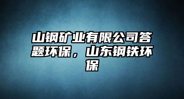 山鋼礦業(yè)有限公司答題環(huán)保，山東鋼鐵環(huán)保