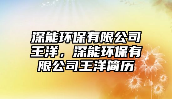 深能環(huán)保有限公司王洋，深能環(huán)保有限公司王洋簡(jiǎn)歷