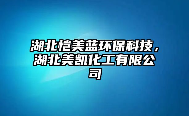 湖北愷美藍(lán)環(huán)?？萍迹泵绖P化工有限公司