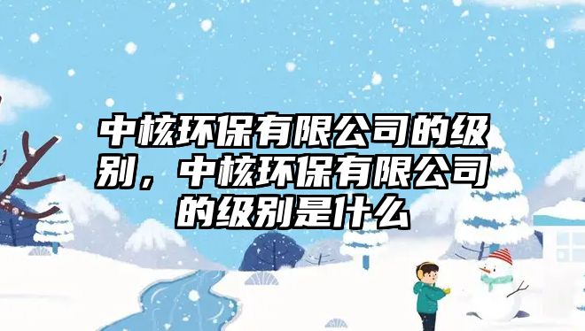 中核環(huán)保有限公司的級(jí)別，中核環(huán)保有限公司的級(jí)別是什么