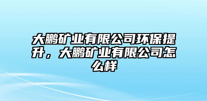 大鵬礦業(yè)有限公司環(huán)保提升，大鵬礦業(yè)有限公司怎么樣