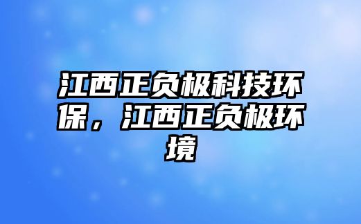 江西正負極科技環(huán)保，江西正負極環(huán)境