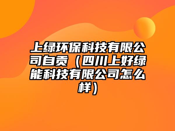 上綠環(huán)?？萍加邢薰咀载暎ㄋ拇ㄉ虾镁G能科技有限公司怎么樣）