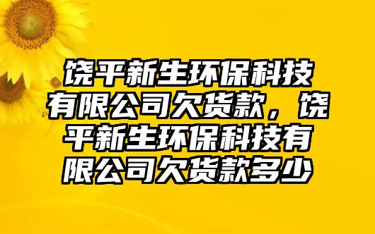 饒平新生環(huán)?？萍加邢薰厩坟浛?，饒平新生環(huán)保科技有限公司欠貨款多少