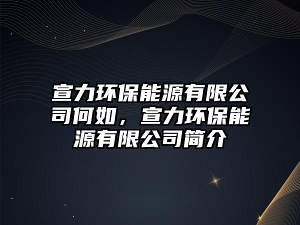 宣力環(huán)保能源有限公司何如，宣力環(huán)保能源有限公司簡介