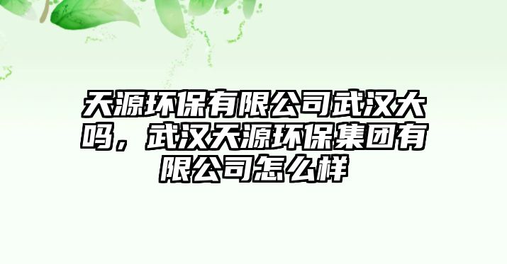 天源環(huán)保有限公司武漢大嗎，武漢天源環(huán)保集團有限公司怎么樣