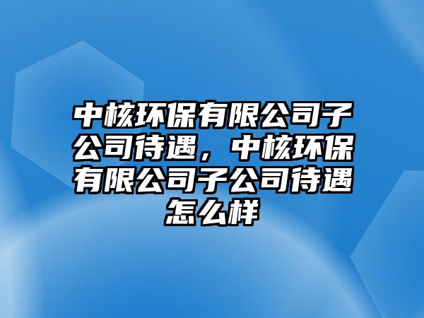 中核環(huán)保有限公司子公司待遇，中核環(huán)保有限公司子公司待遇怎么樣