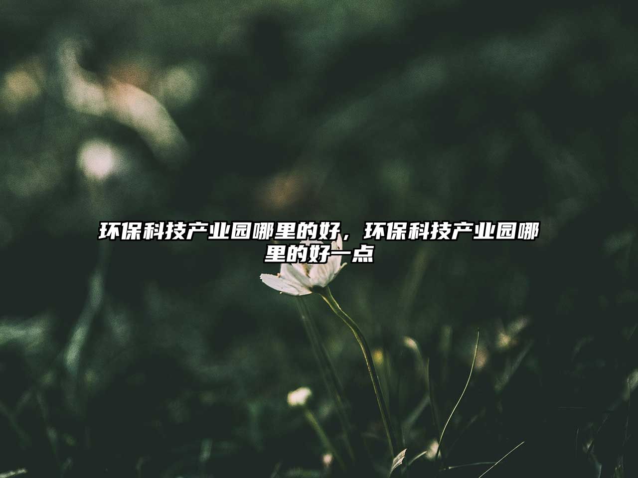 環(huán)保科技產(chǎn)業(yè)園哪里的好，環(huán)?？萍籍a(chǎn)業(yè)園哪里的好一點(diǎn)