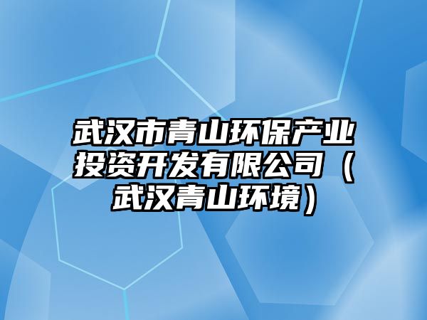 武漢市青山環(huán)保產(chǎn)業(yè)投資開發(fā)有限公司（武漢青山環(huán)境）