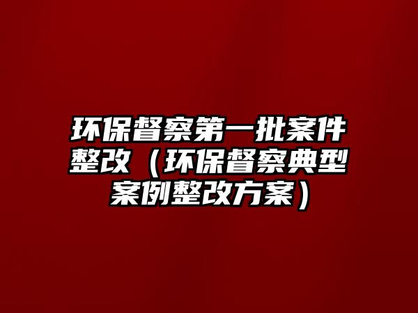 環(huán)保督察第一批案件整改（環(huán)保督察典型案例整改方案）