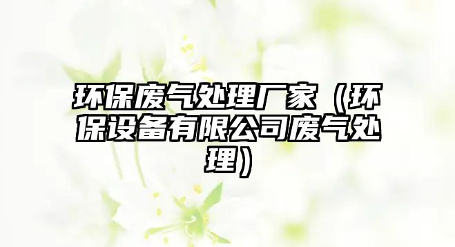 環(huán)保廢氣處理廠(chǎng)家（環(huán)保設(shè)備有限公司廢氣處理）