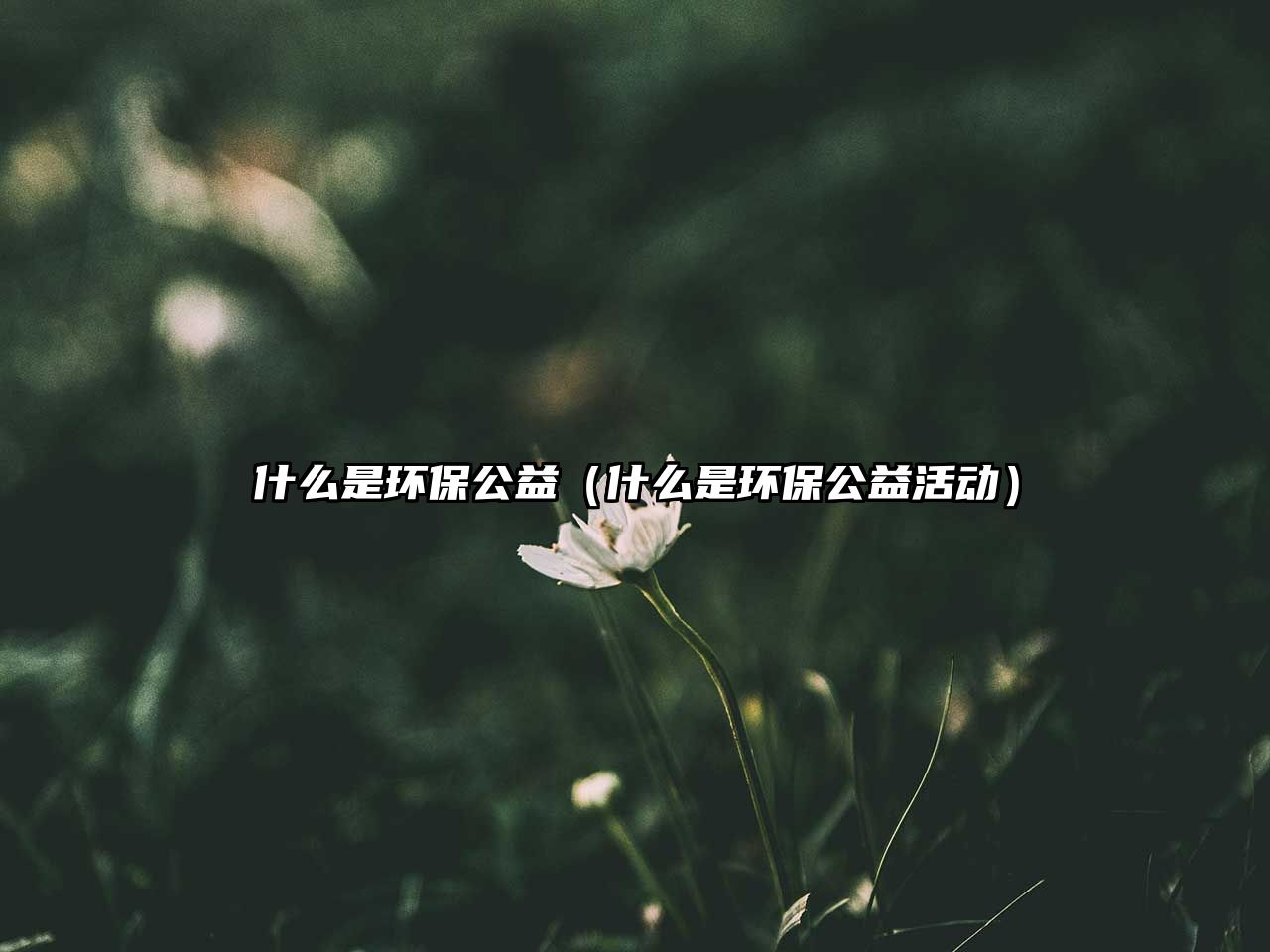 什么是環(huán)保公益（什么是環(huán)保公益活動(dòng)）