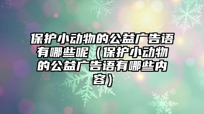 保護小動物的公益廣告語有哪些呢（保護小動物的公益廣告語有哪些內(nèi)容）