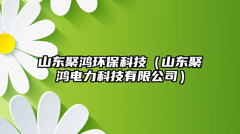 山東聚鴻環(huán)?？萍迹ㄉ綎|聚鴻電力科技有限公司）