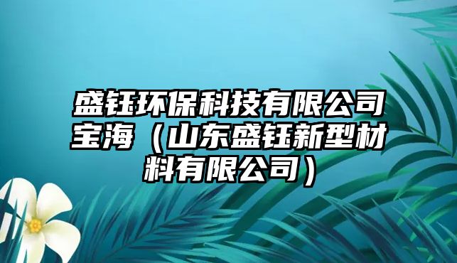 盛鈺環(huán)保科技有限公司寶海（山東盛鈺新型材料有限公司）