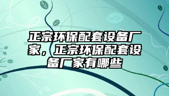 正宗環(huán)保配套設備廠家，正宗環(huán)保配套設備廠家有哪些