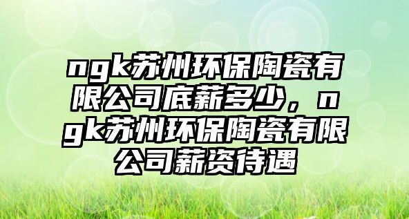 ngk蘇州環(huán)保陶瓷有限公司底薪多少，ngk蘇州環(huán)保陶瓷有限公司薪資待遇