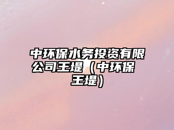 中環(huán)保水務(wù)投資有限公司王堤（中環(huán)保 王堤）