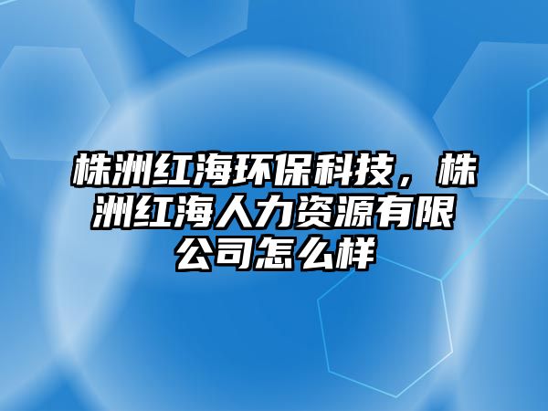 株洲紅海環(huán)?？萍迹曛藜t海人力資源有限公司怎么樣