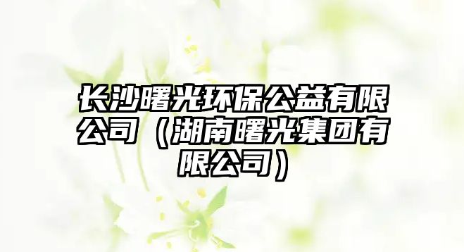 長(zhǎng)沙曙光環(huán)保公益有限公司（湖南曙光集團(tuán)有限公司）