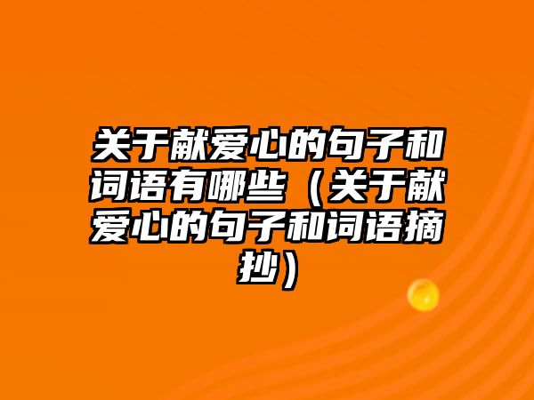 關(guān)于獻(xiàn)愛心的句子和詞語有哪些（關(guān)于獻(xiàn)愛心的句子和詞語摘抄）