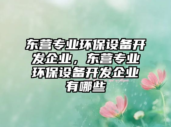 東營專業(yè)環(huán)保設備開發(fā)企業(yè)，東營專業(yè)環(huán)保設備開發(fā)企業(yè)有哪些