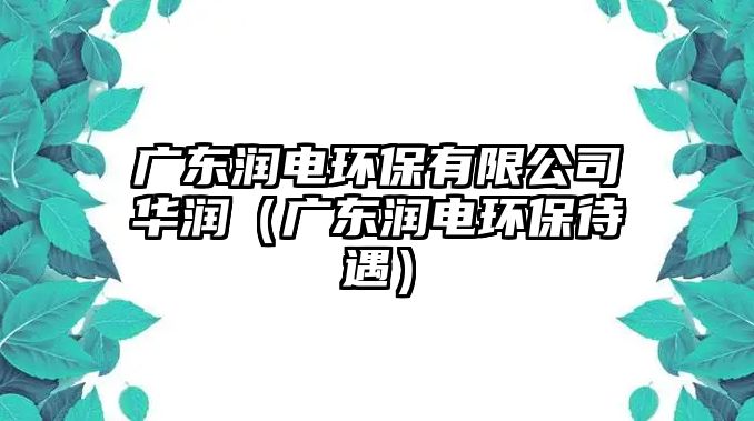 廣東潤電環(huán)保有限公司華潤（廣東潤電環(huán)保待遇）