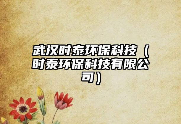 武漢時泰環(huán)?？萍迹〞r泰環(huán)?？萍加邢薰荆?/> 
									</a>
									<h4 class=