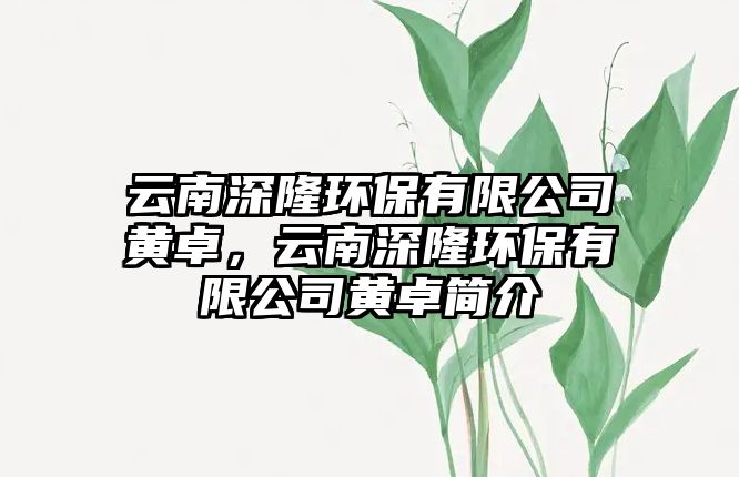 云南深隆環(huán)保有限公司黃卓，云南深隆環(huán)保有限公司黃卓簡(jiǎn)介