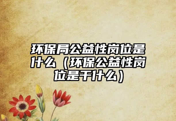 環(huán)保局公益性崗位是什么（環(huán)保公益性崗位是干什么）