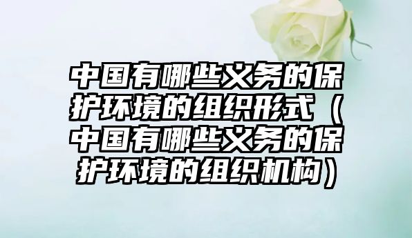 中國(guó)有哪些義務(wù)的保護(hù)環(huán)境的組織形式（中國(guó)有哪些義務(wù)的保護(hù)環(huán)境的組織機(jī)構(gòu)）