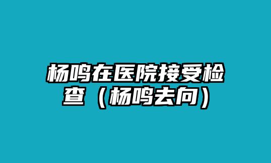 楊鳴在醫(yī)院接受檢查（楊鳴去向）