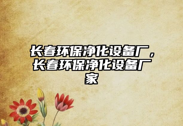 長春環(huán)保凈化設(shè)備廠，長春環(huán)保凈化設(shè)備廠家