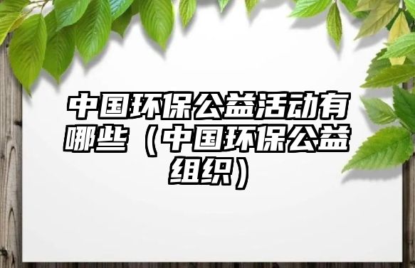 中國環(huán)保公益活動(dòng)有哪些（中國環(huán)保公益組織）