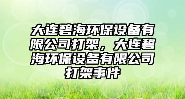 大連碧海環(huán)保設備有限公司打架，大連碧海環(huán)保設備有限公司打架事件