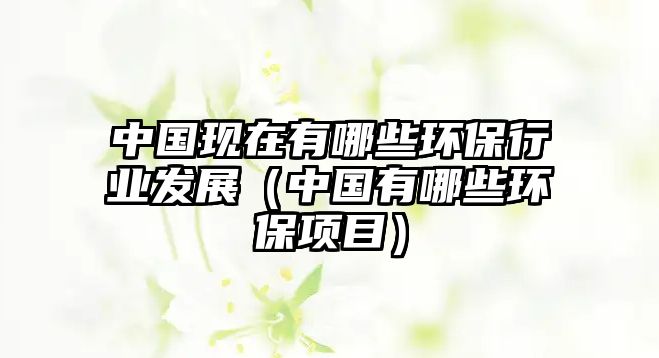 中國(guó)現(xiàn)在有哪些環(huán)保行業(yè)發(fā)展（中國(guó)有哪些環(huán)保項(xiàng)目）