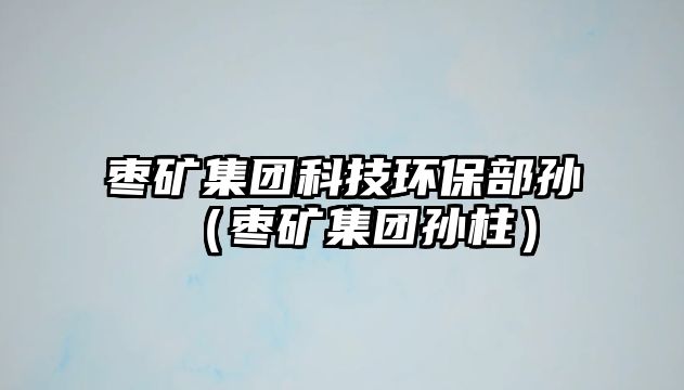 棗礦集團(tuán)科技環(huán)保部孫（棗礦集團(tuán)孫柱）