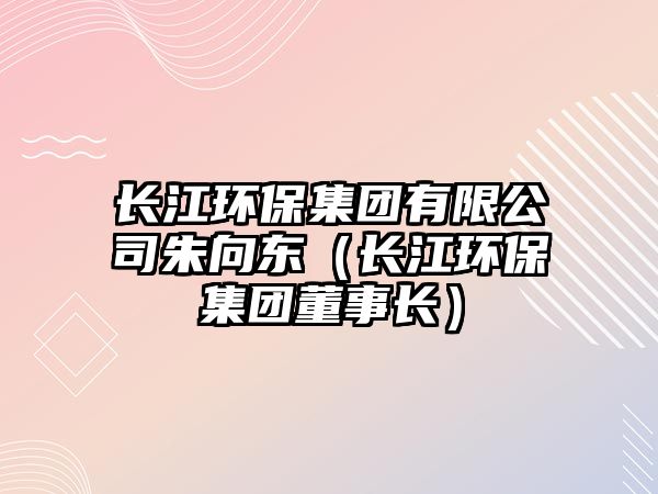 長江環(huán)保集團有限公司朱向東（長江環(huán)保集團董事長）