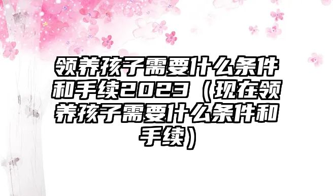 領(lǐng)養(yǎng)孩子需要什么條件和手續(xù)2023（現(xiàn)在領(lǐng)養(yǎng)孩子需要什么條件和手續(xù)）