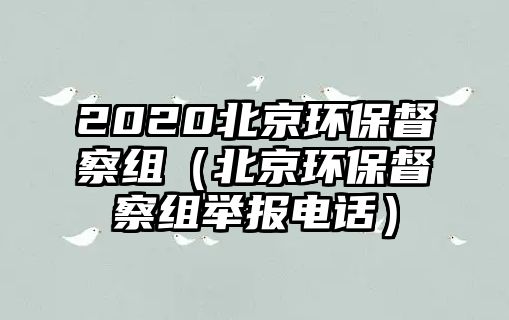 2020北京環(huán)保督察組（北京環(huán)保督察組舉報電話）