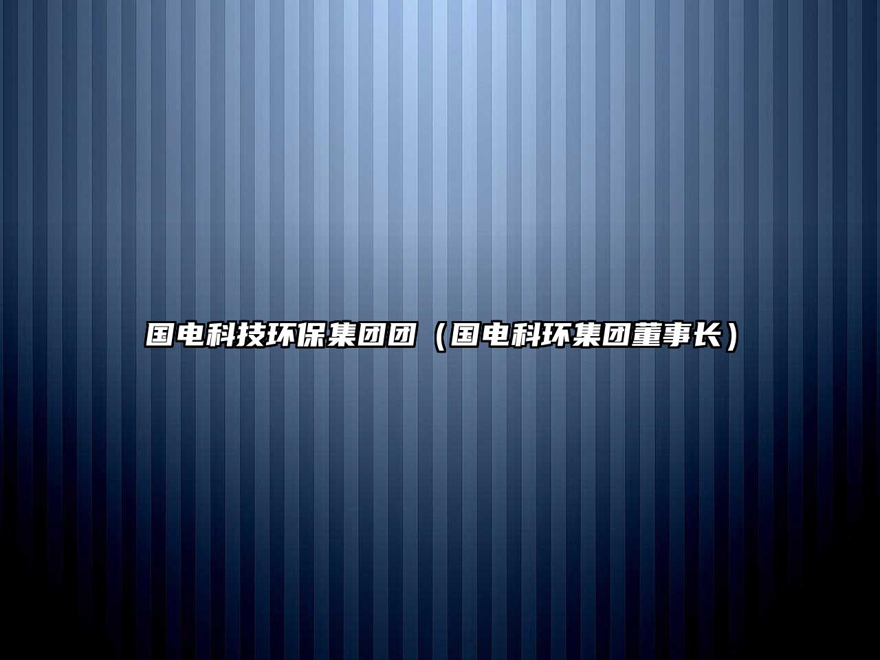 國(guó)電科技環(huán)保集團(tuán)團(tuán)（國(guó)電科環(huán)集團(tuán)董事長(zhǎng)）