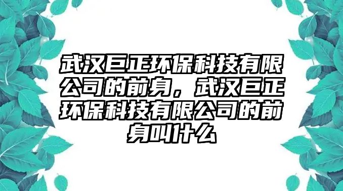 武漢巨正環(huán)?？萍加邢薰镜那吧?，武漢巨正環(huán)?？萍加邢薰镜那吧斫惺裁?/> 
									</a>
									<h4 class=